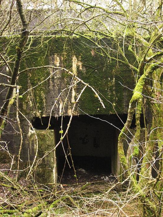  - Defensive Fortifications . 
