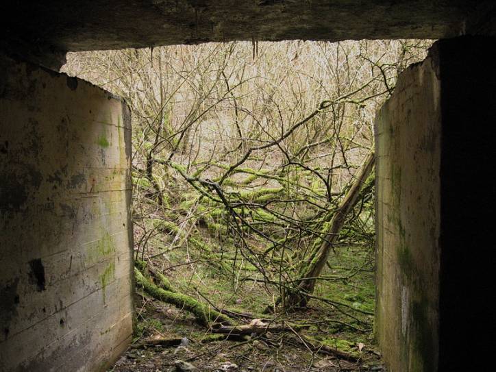  - Defensive Fortifications . 