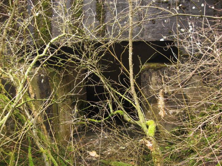  - Defensive Fortifications . 