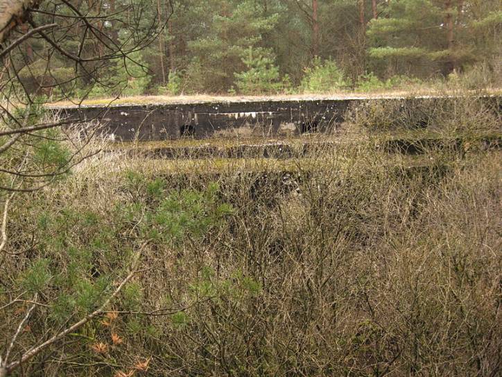  - Defensive Fortifications . 