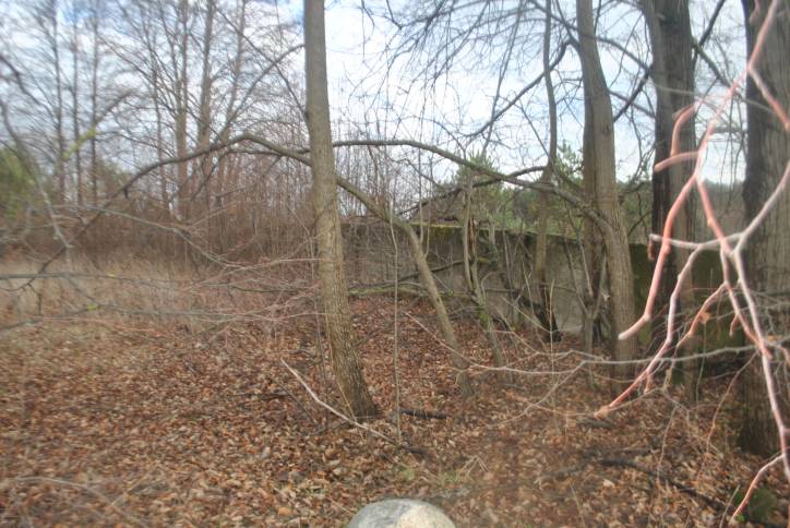 Сураж. Могілкі габрэйскія