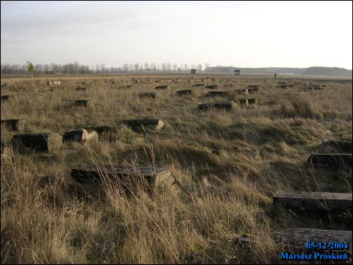  - Кладбище еврейское. 