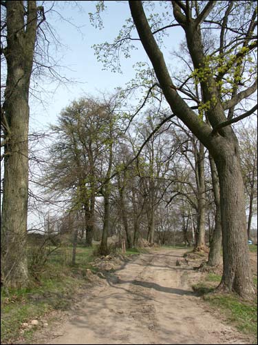 Małyja Ščytniki. Manor of Tukałło