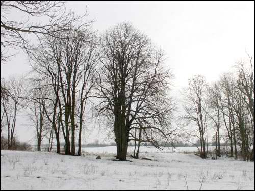 Vieljamovičy. Manor park 