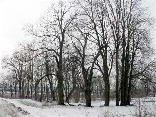 Vieljamovičy. Manor park 