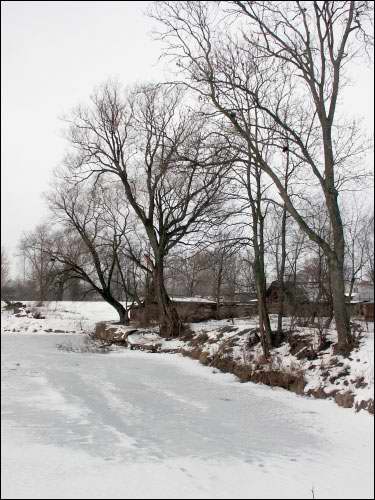 Vieljamovičy. Manor park 