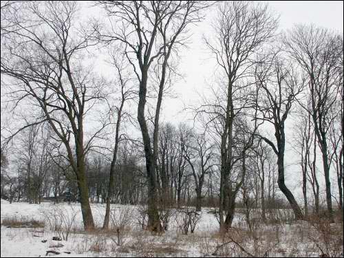 Vieljamovičy. Manor park 