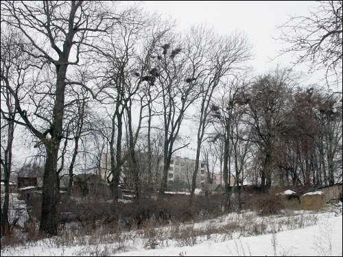 Vieljamovičy. Manor park 