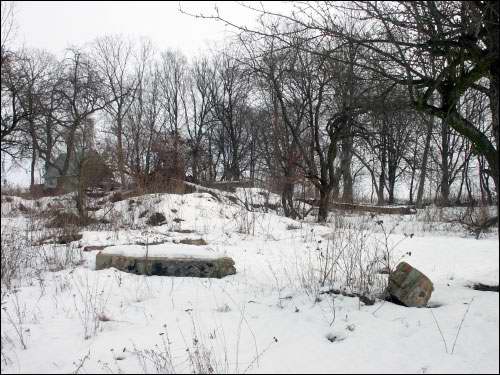 Vieljamovičy. Manor park 