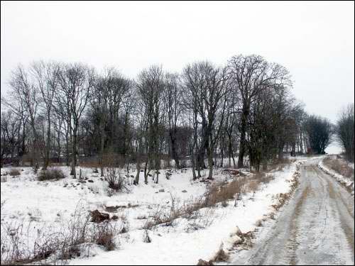 Vieljamovičy. Manor park 