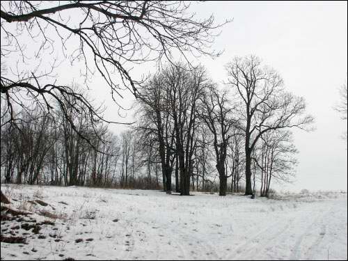 Vieljamovičy. Manor park 