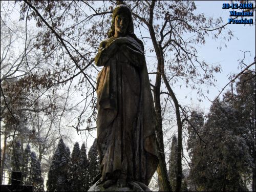  - cemetery Old Catholic (fara's). 