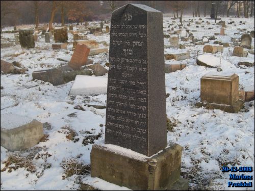 Белосток. Кладбище еврейское