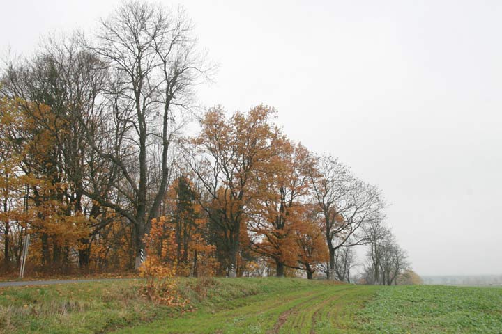 Łukaviec. Manor park 