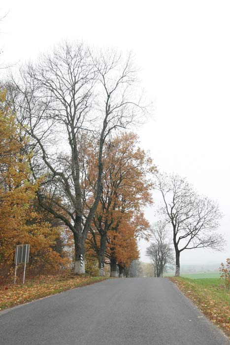 Łukaviec. Manor park 