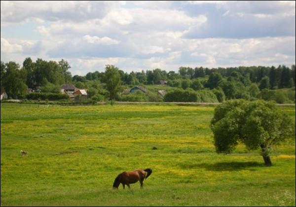Смаляны. Краявіды 
