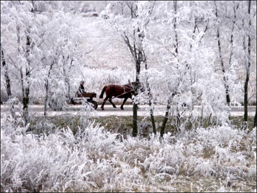 Смаляны. Краявіды 