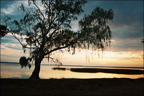  - Landscapes . 