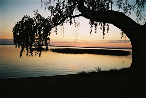  - Landscapes . 