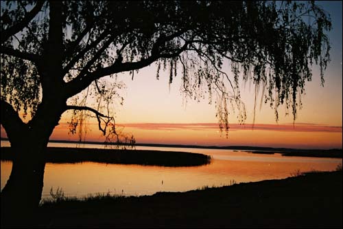  - Landscapes . 