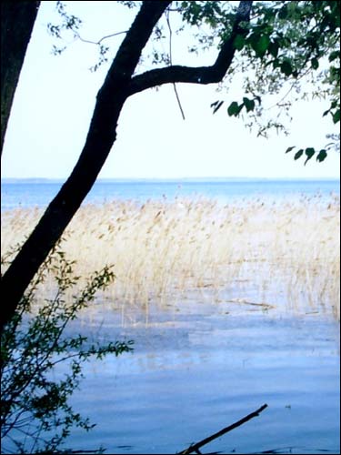 Drysviaty. Landscapes 