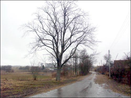 Иказнь. Пейзажи 