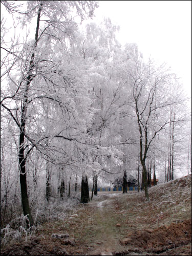 Čareja. Landscapes 