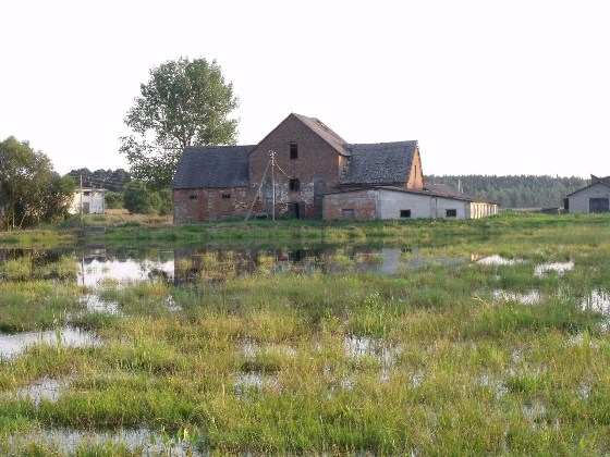 Берёзовка. В деревне 
