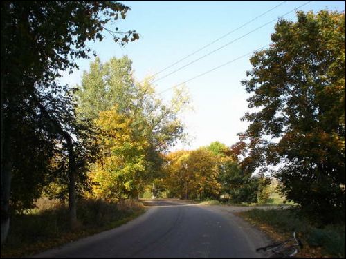 Берёзовка. В деревне 