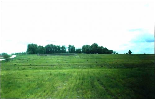 Chodorówka. Park dworski Sławińskich