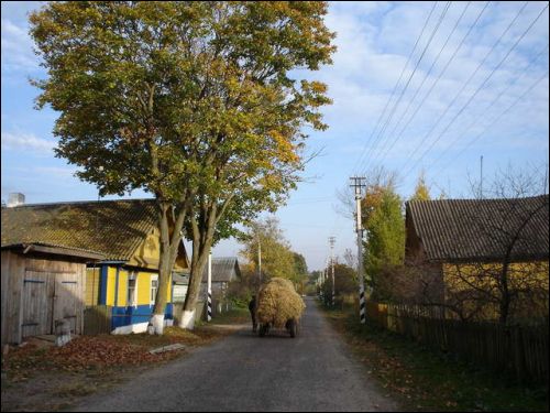 Дзедзіна. Краявіды 