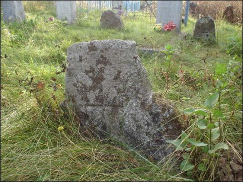 Дзедзіна. Краявіды 