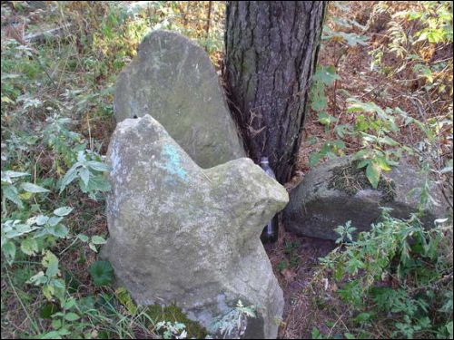 Дзедзіна. Краявіды 