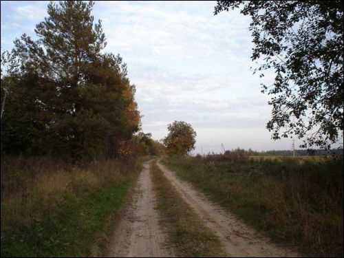 Дзедзіна. Краявіды 