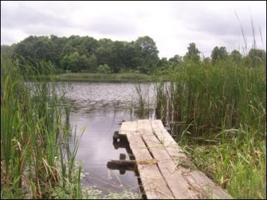 Hniazdziłava (Dvor). Landscapes 