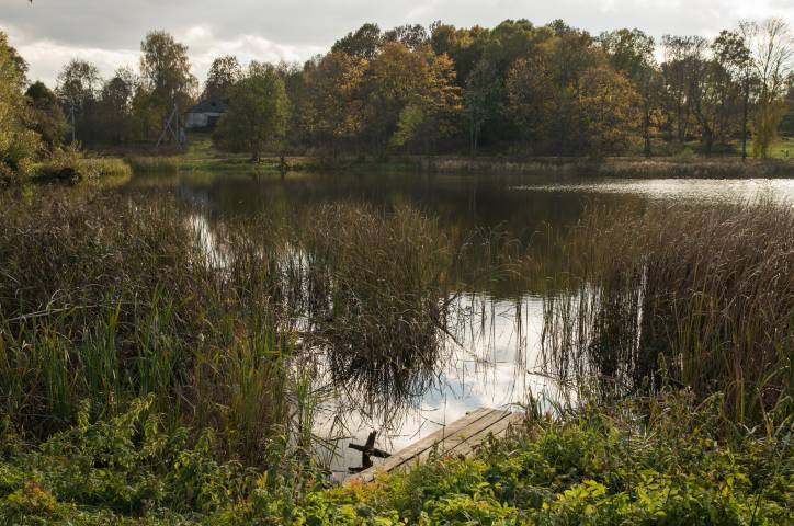 Hniazdziłava (Dvor). Landscapes 