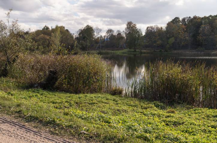 Hniazdziłava (Dvor). Landscapes 