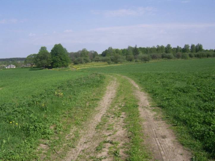 Hniazdziłava (Dvor). Landscapes 