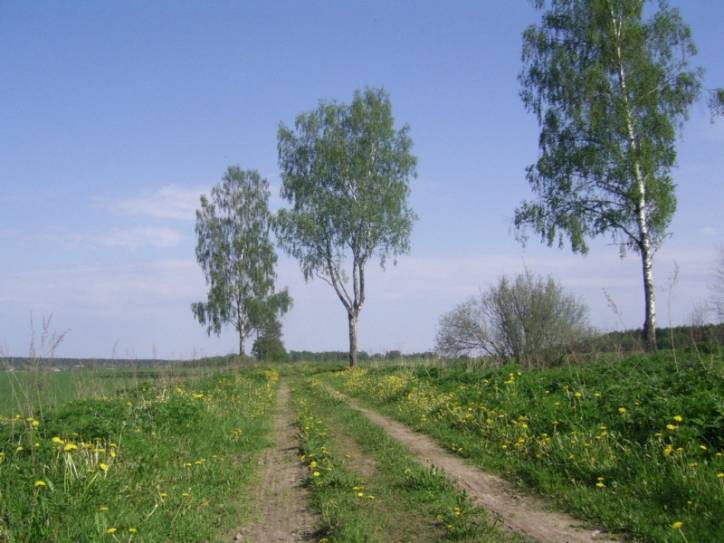 Hniazdziłava (Dvor). Landscapes 