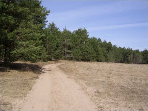 Biruli. Landscapes 