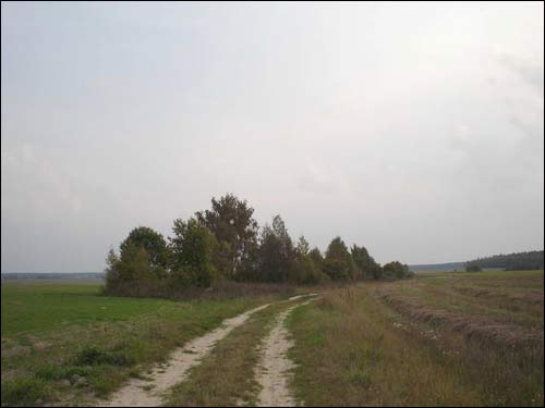 Дарога з Валасаткі на Гняздзілава Валасатка. Краявіды