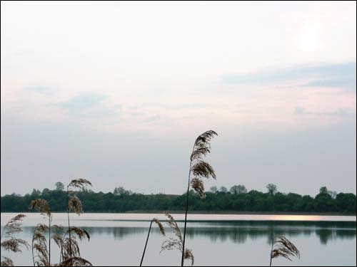 Бушыкі (Залессе Царкоўнае). Краявіды 