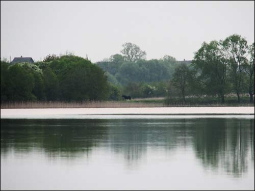 Бушыкі (Залессе Царкоўнае). Краявіды 