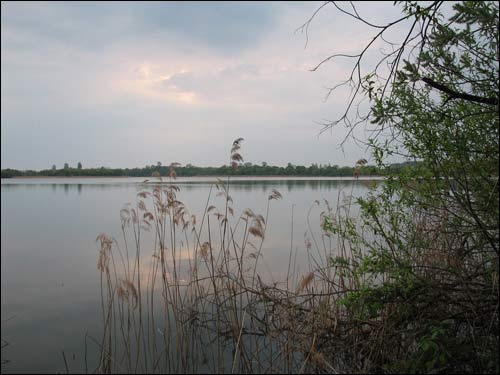  - Краявіды . Воз. Белае. Май 2006 г.