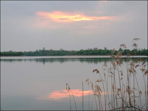 Бушыкі (Залессе Царкоўнае). Краявіды 