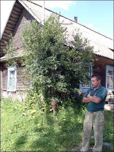 Прысядзібны парк пры былой сядзібе Дамейкаў ў Дзеркаўшчыне. А. Папіна стаіць на падмурках 'палаца' Дамейкаў. Дом спадара Папіны збудаваны з бярвенняў разабранага 'палаца' Дамейкаў. З гэтых бярвенняў былі пабудаваны яшчэ два дамы ў Дзеркаўшчыне - Прысядзібны парк пры былой сядзібе Дамейкаў. А. Папіна стаіць на падмурках 'палаца' Дамейкаў. Дом спадара Папіны збудаваны з бярвенняў разабранага 'палаца' Дамейкаў. З гэтых бярвенняў былі пабудаваны яшчэ два дамы ў Дзеркаўшчыне