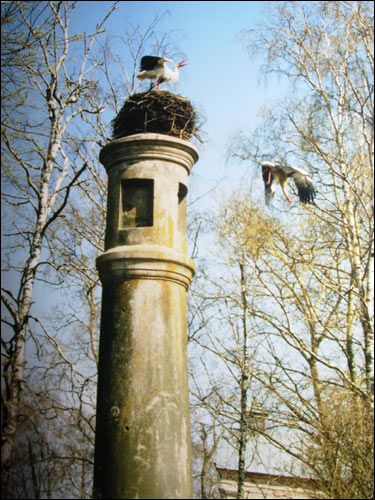 Hłybokaje.  Column of the Constitution of May 3, 1791