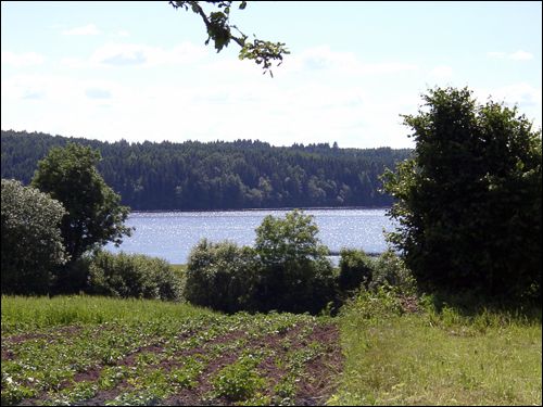  - Zespół dworsko-parkowy . Jezioro Mniuta