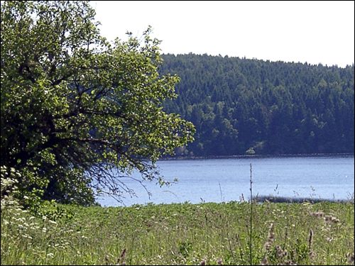  - Zespół dworsko-parkowy . Jezioro Mniuta