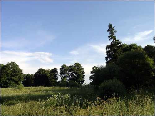 Potupy. Park dworski 